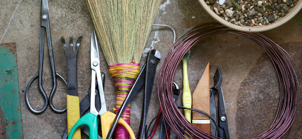 A Beginners Guide to Bonsai – Where Should I Start?