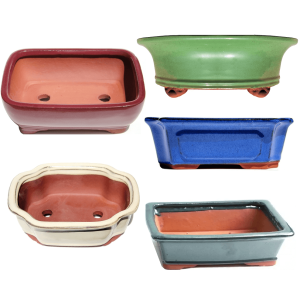 Bonsai Shop Assorted Glazed Pot (10inch)