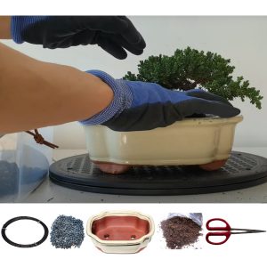Extra Large Bonsai Tree Repot Kit (12 inch pot)