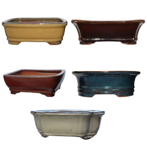 Glazed Bonsai Pots 8 inch - Bulk Buy (3pcs)
