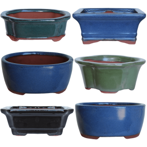 Glazed Bonsai Mini Pots 4" - Bulk Buy (6pcs)