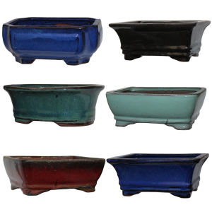 Bonsai Shop Glazed Pots 6inch - Bulk Buy (3pcs)