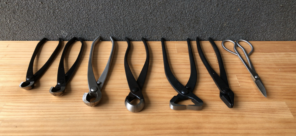 What tools are needed for Bonsai? - Bonsai Shop Australia