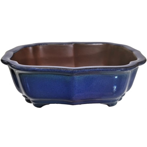 205mm Blue Bonsai Pot