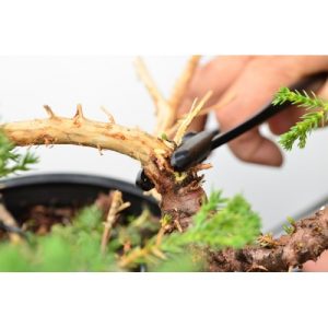 Hanzo Carbon Steel Jin Pliers