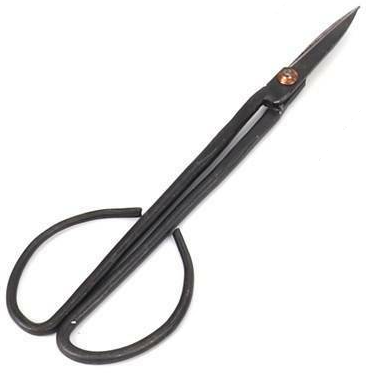 Chinese Elm DIY Bonsai Tree Kit - Medium - Image 5