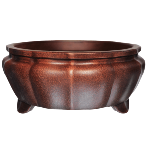 Semi Cascade Bonsai Pot - Showpiece Clay 205mm