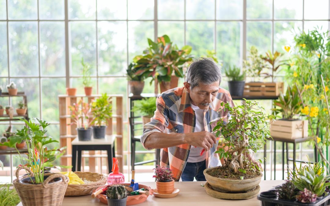 Demystifying Bonsai Pruning Techniques: A Guide for Healthy Bonsai Trees