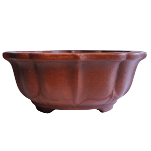 Brown Clay Bonsai Pot - 160mm- Lotus Style