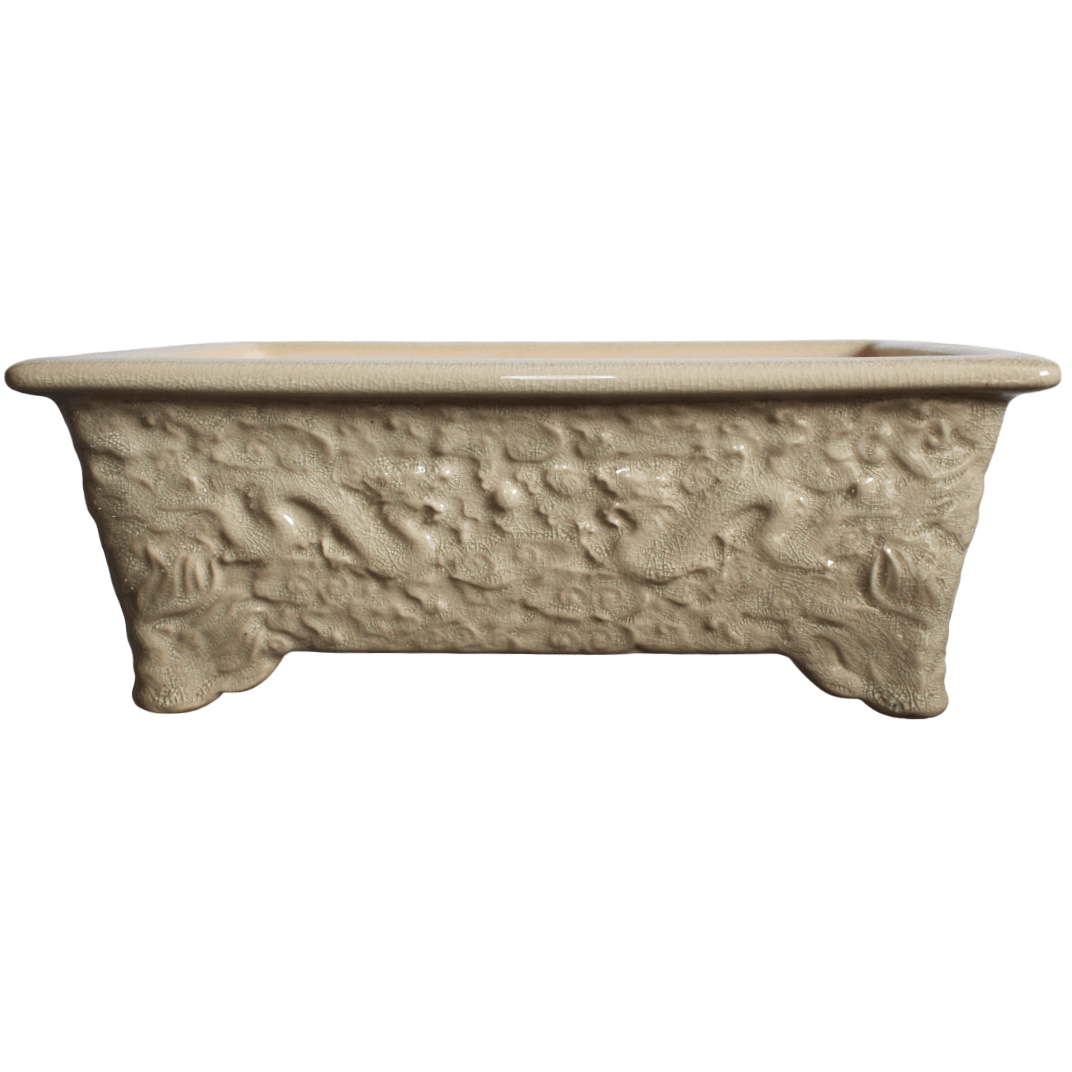 Rectangle Bonsai Pot White Glazed Dragon 265mm Bonsai Shop
