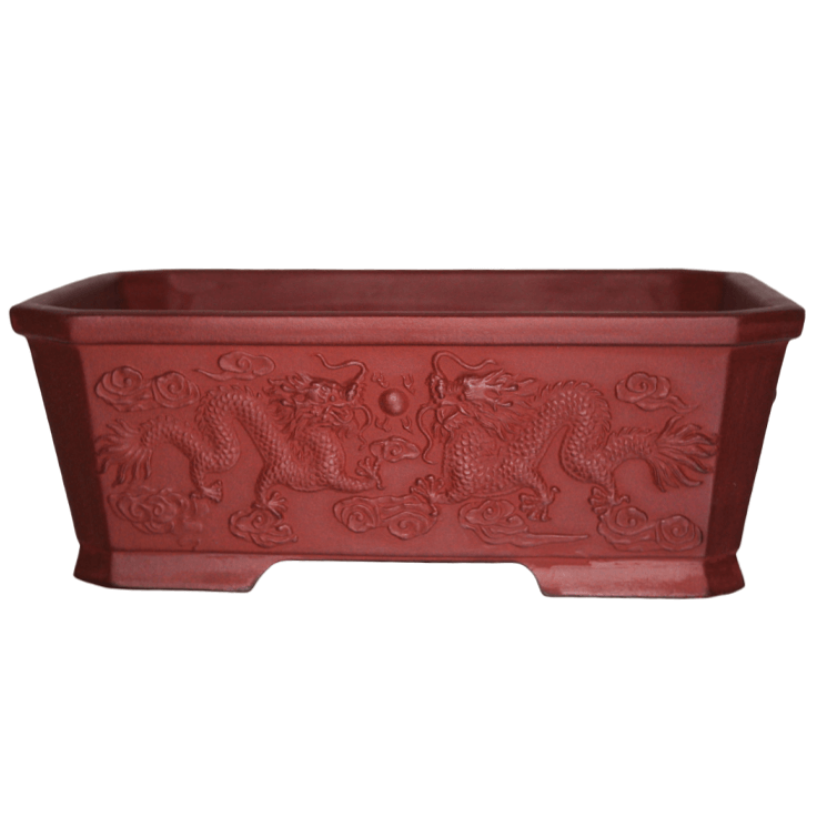 Embossed Dragon Bonsai Pot 325mm Rectangle Bonsai Shop