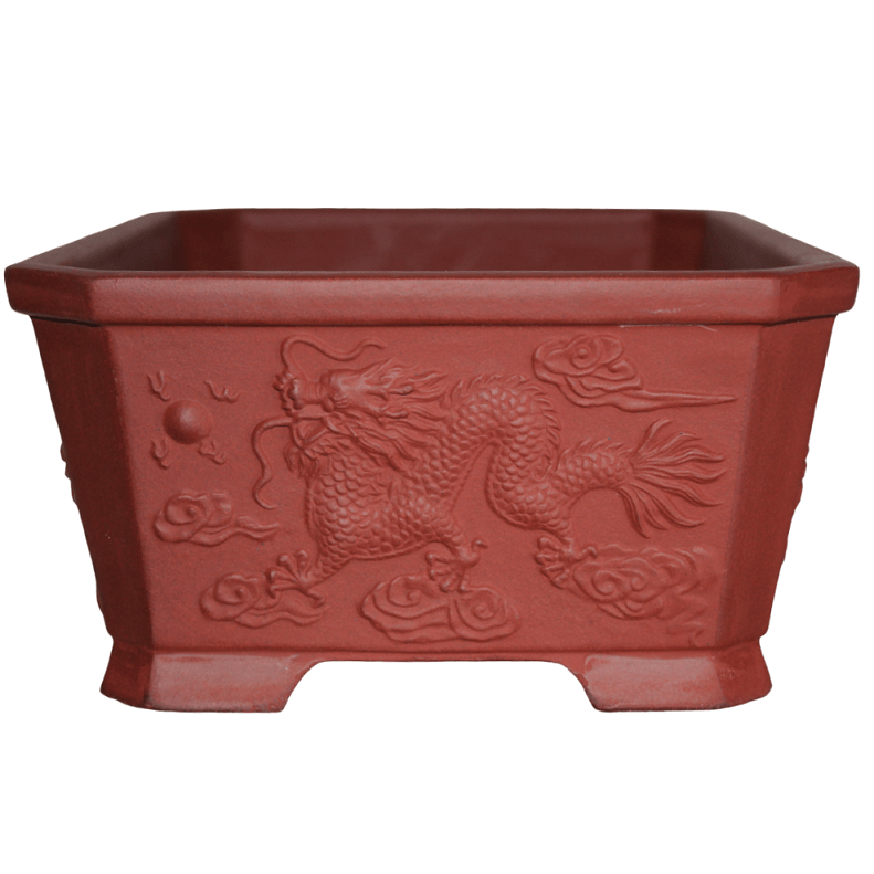 Embossed Dragon Bonsai Pot 325mm Rectangle Bonsai Shop