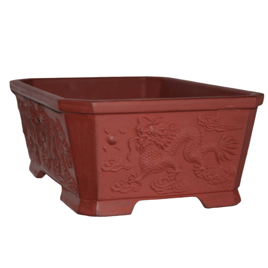 Embossed Dragon Bonsai Pot 325mm Rectangle Bonsai Shop