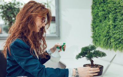 Essential Tools for Beginner Bonsai Enthusiasts