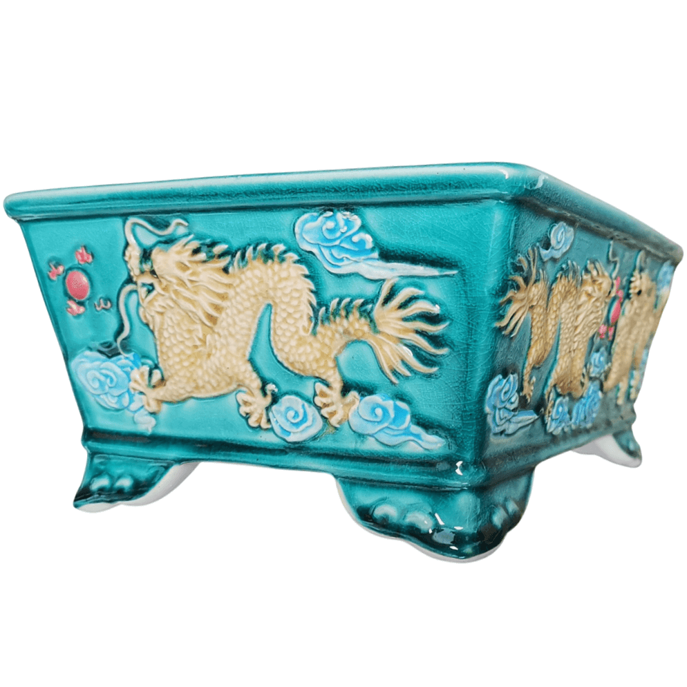 Rectangle Bonsai Pot Glazed Dragon Art 290mm Bonsai Shop