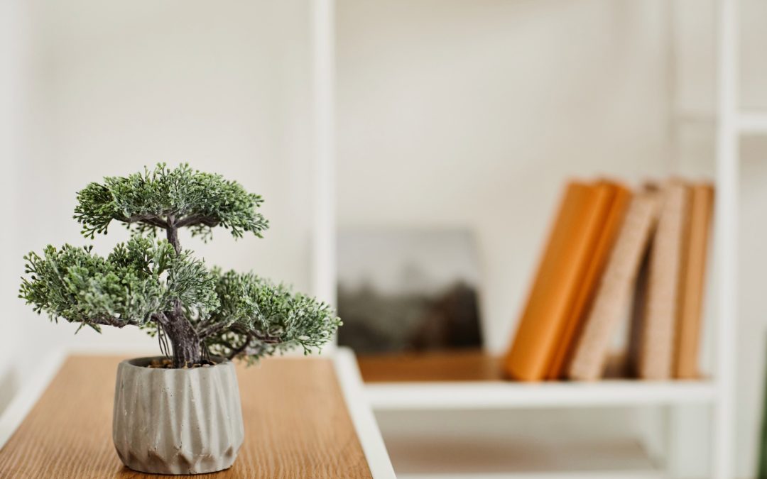 bonsai
