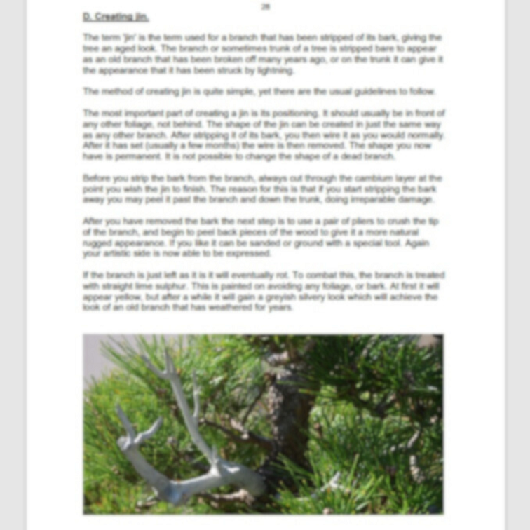 The Art of Bonsai: Comprehensive Ebook - Image 3