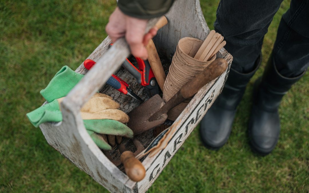 bonsai tools