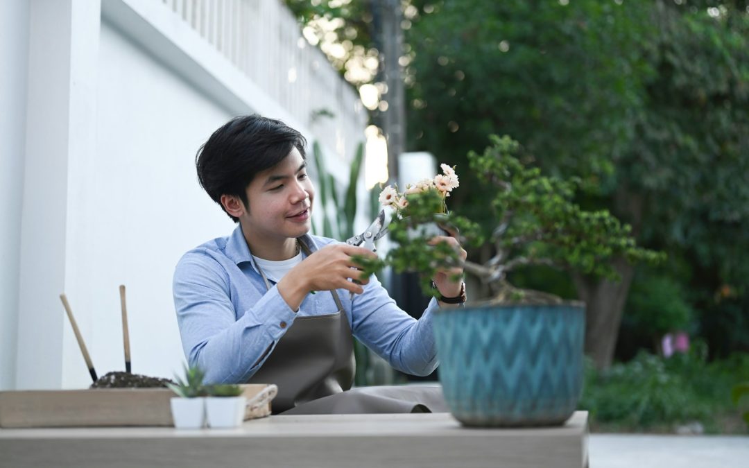 bonsai pruning