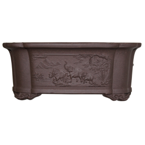 Unique Bonsai Pot - Elephant embossed design