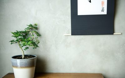 Aesthetic Principles for Arranging Bonsai Pots