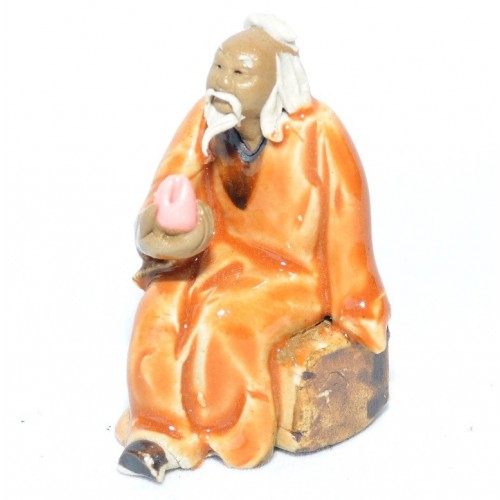 Ficus Benjamina DIY Bonsai Tree - Medium - Image 13