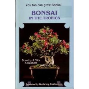 Bonsai in the tropics