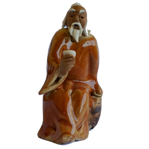 Ficus Benjamina DIY Bonsai Tree - Medium - Image 11