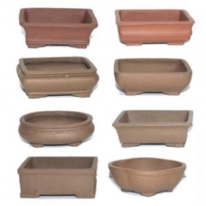 Bonsaishop Unglazed pot 6" - Bulk Buy