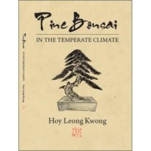 Pine Bonsai in the Temperate Climate